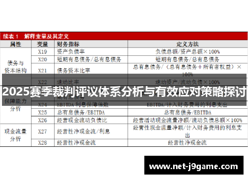 2025赛季裁判评议体系分析与有效应对策略探讨
