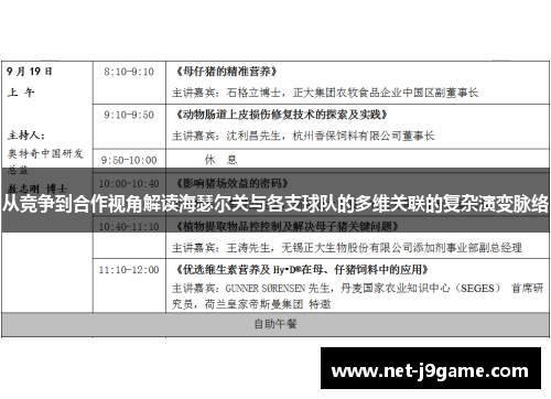 从竞争到合作视角解读海瑟尔关与各支球队的多维关联的复杂演变脉络